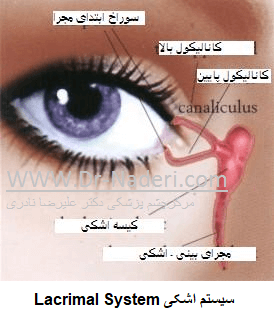 Lacrimal System سیستم اشکی 